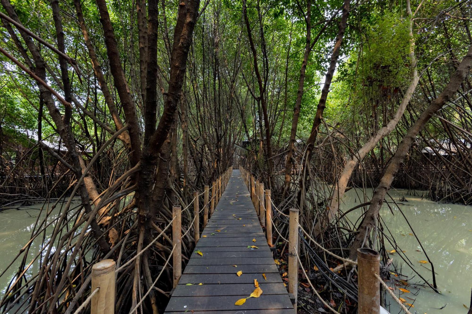 Reddoorz Resort @ Taman Wisata Mangrove Jakarta Eksteriør billede